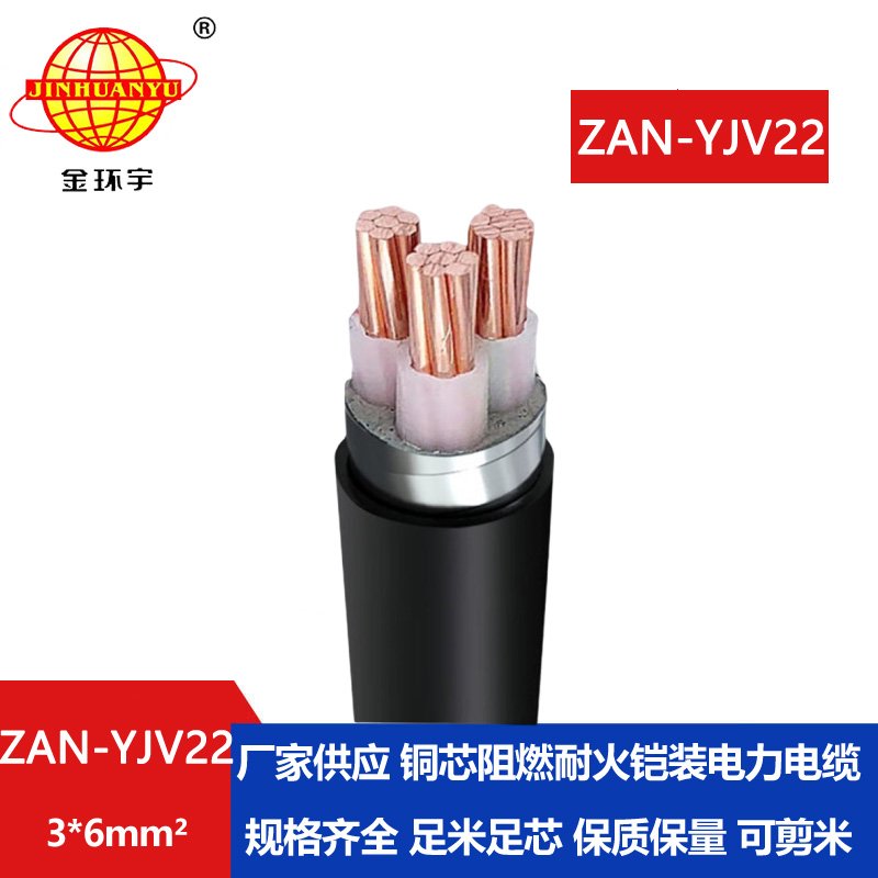 金環(huán)宇 a級阻燃耐火電纜ZAN-YJV22-3*6平方yjv22鎧裝電
