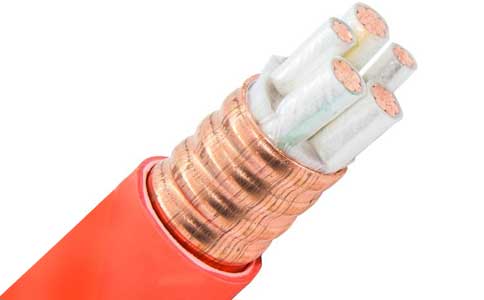<a href='http://netiquette.cn/kuangwuzhidianlan/' target='_blank'><u>礦物質(zhì)電纜</u></a>