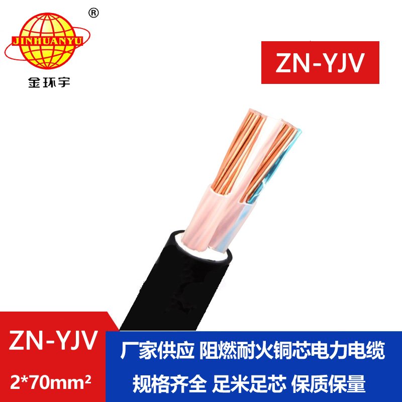 金環(huán)宇電線(xiàn)電纜 yjv二芯電纜ZN-YJV 2X70平方 阻燃耐