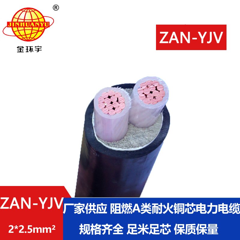 金環(huán)宇電線(xiàn)電纜 a級阻燃耐火電力電纜ZAN-YJV 2X2