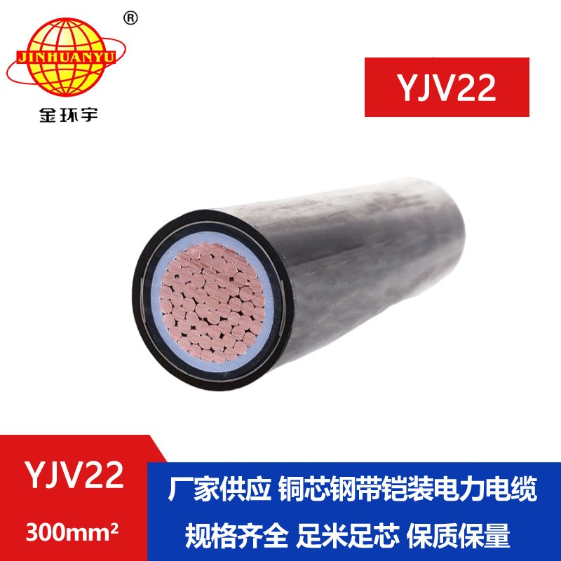 金環(huán)宇電線(xiàn)電纜 室外電纜鎧裝YJV22-300平方 深圳yjv22電力電纜